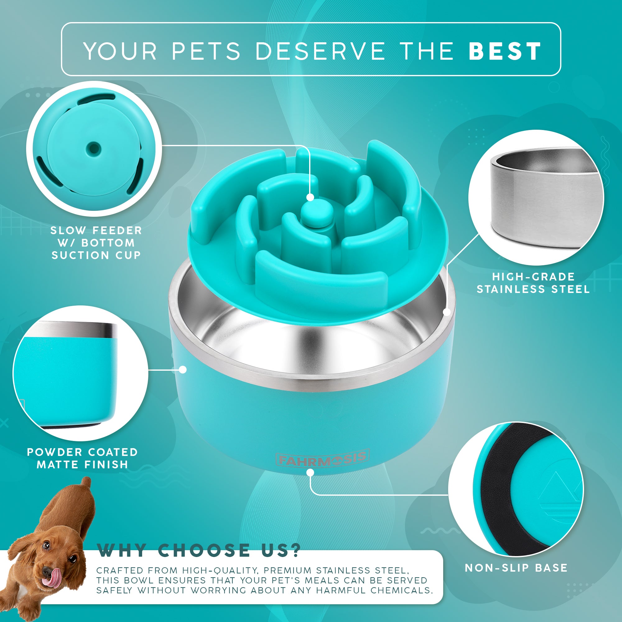 Stainless Steel Dog Bowl with Slow Feeder Insert - Teal